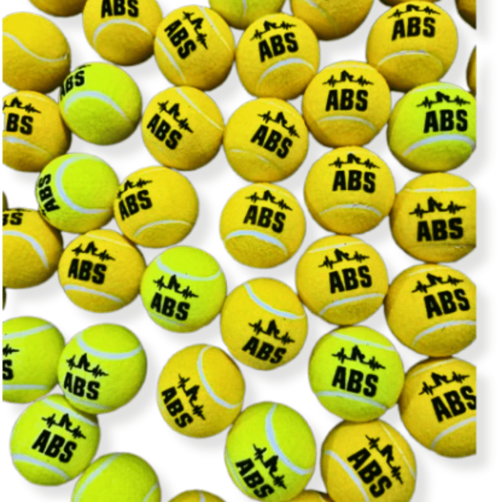ABS PowerSoft Tennis Cricket Ball – Practice & Casual Use